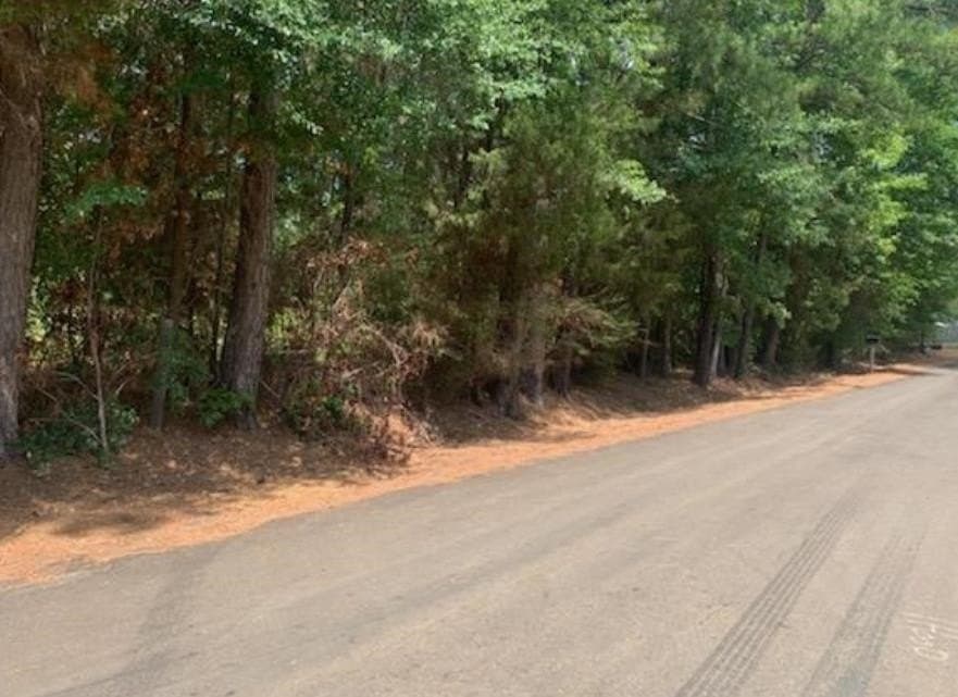 0.66 acres in Gregg County gallery image 2