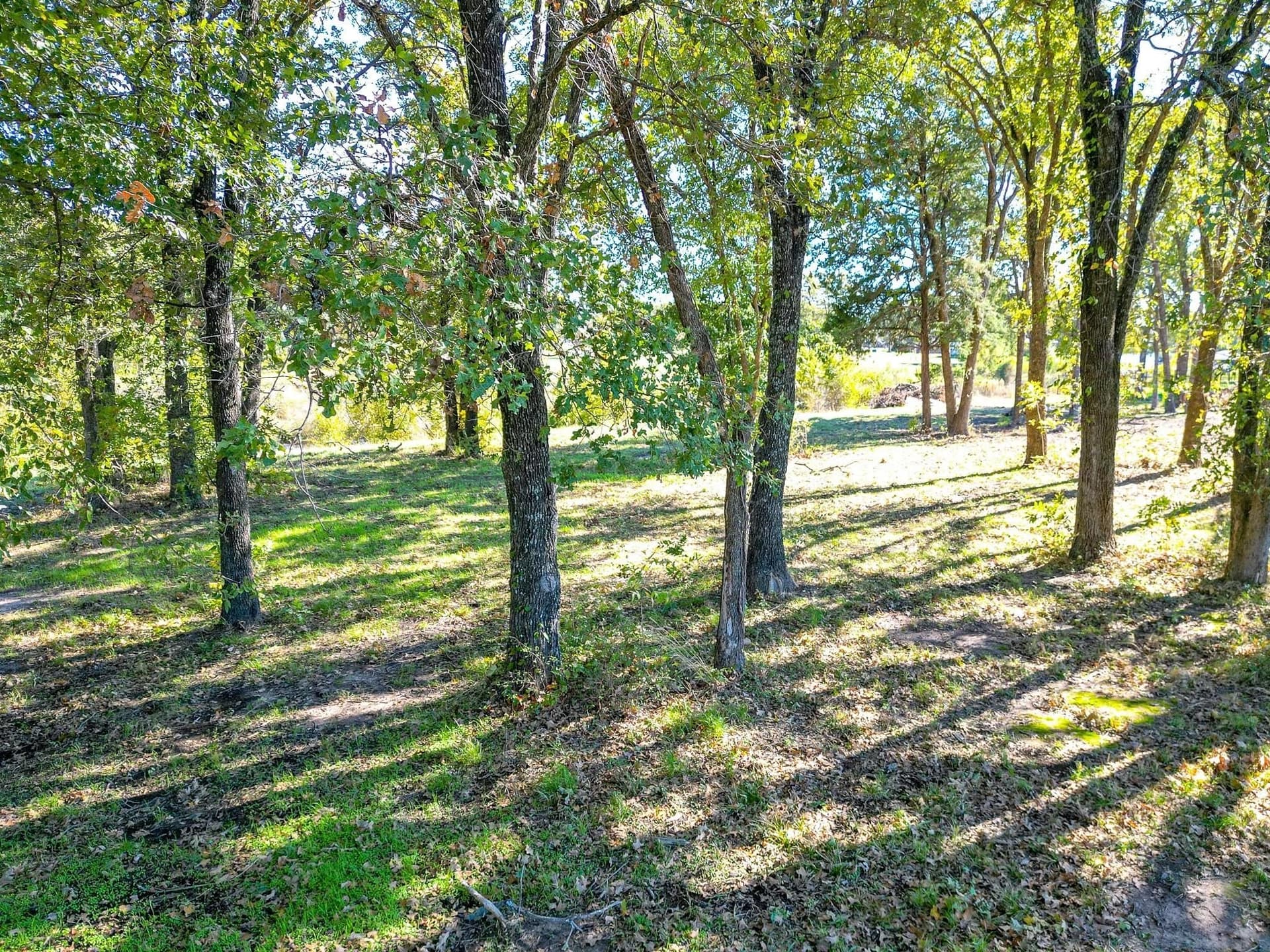 0.5 acres in Navarro County - photo 8