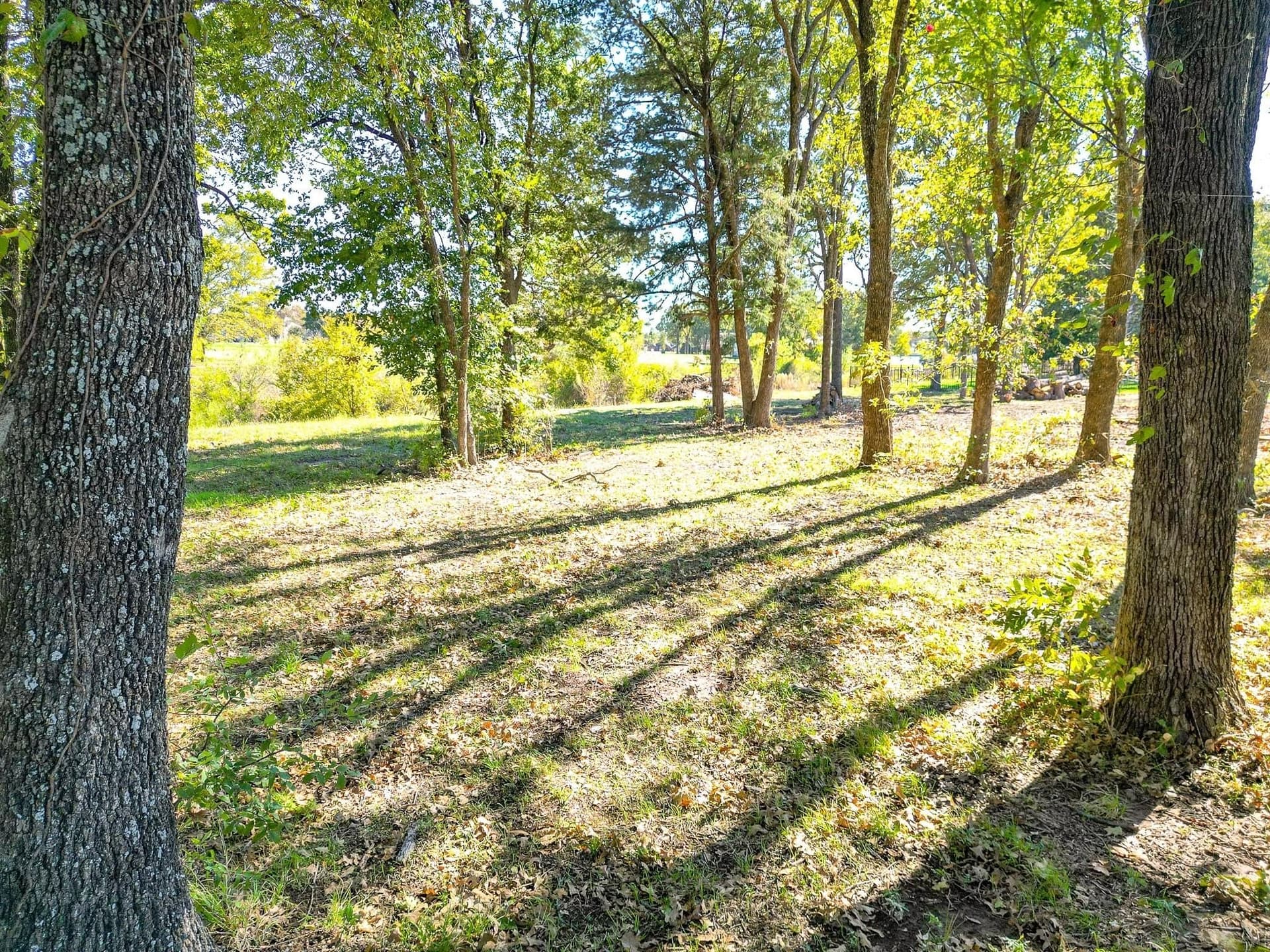 0.5 acres in Navarro County - photo 9