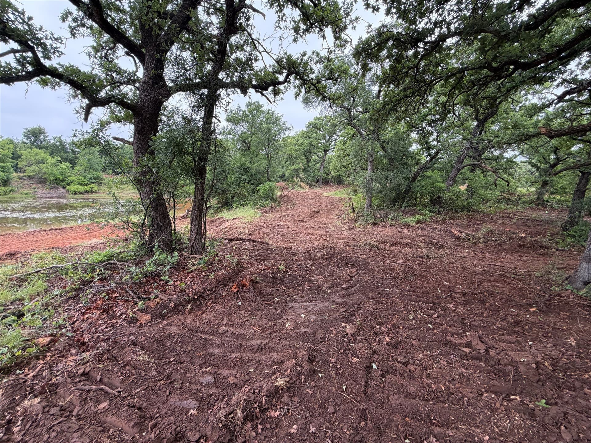50 acres in Eastland County - photo 10