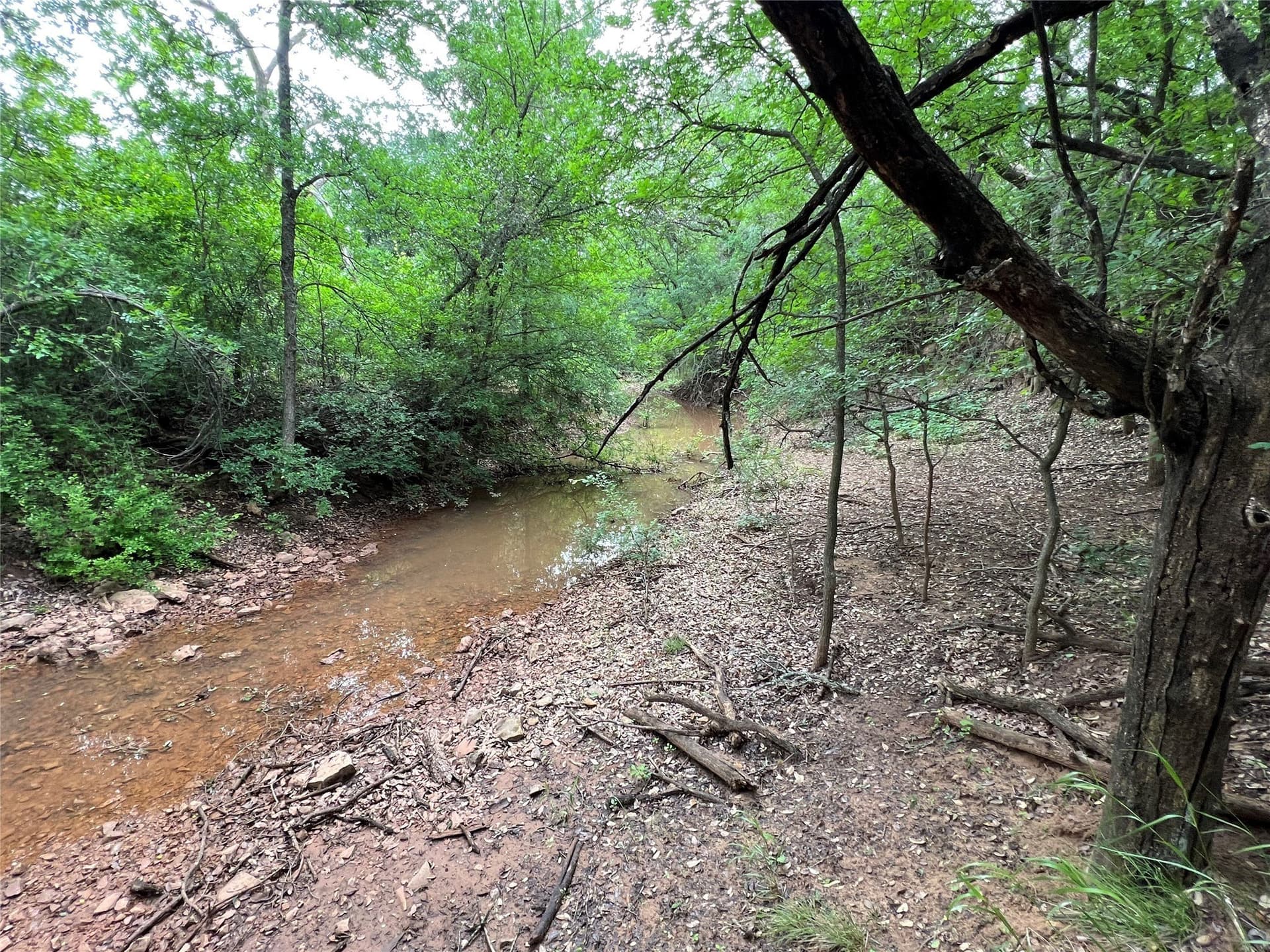 50 acres in Eastland County - photo 2