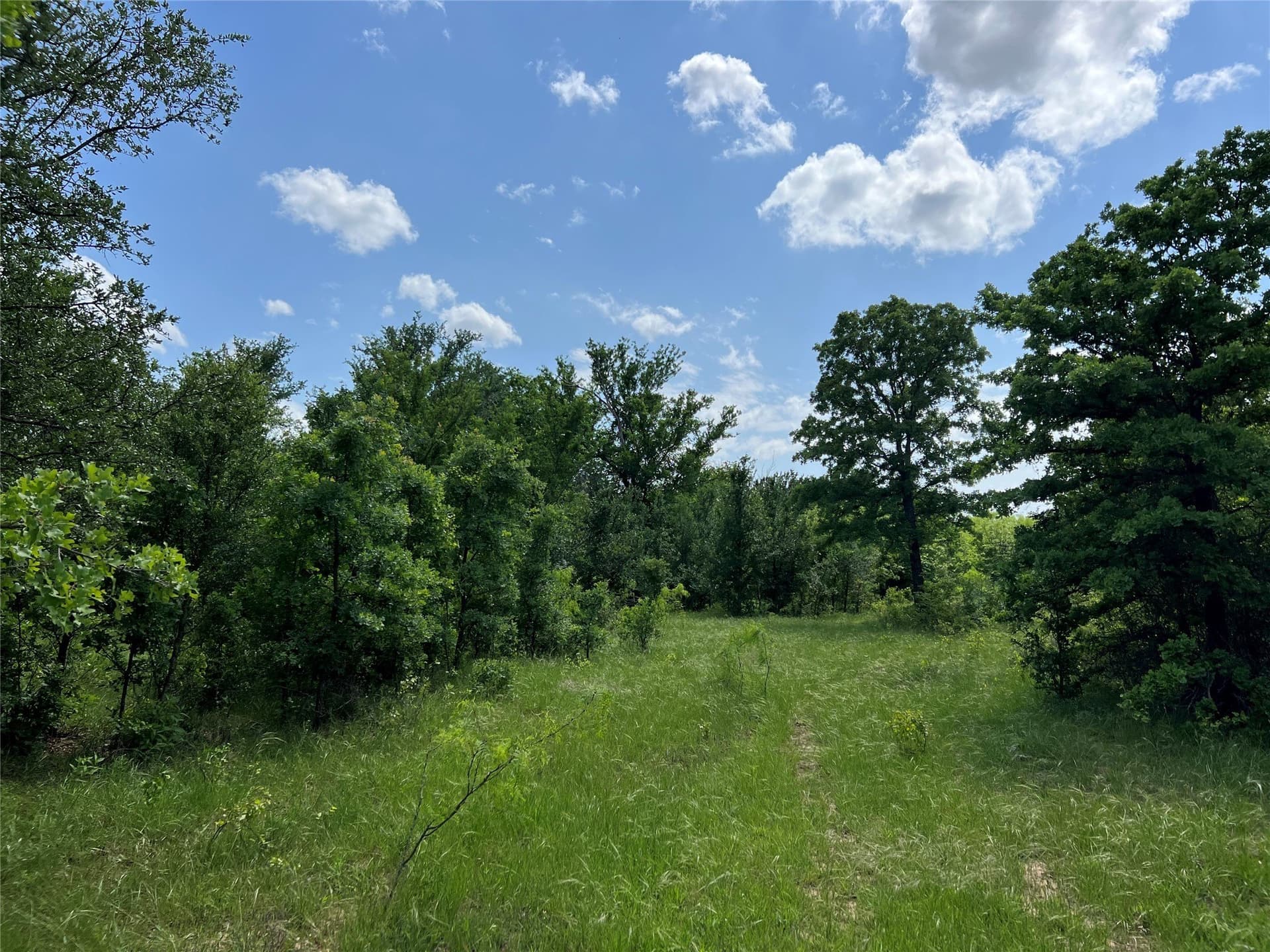 50 acres in Eastland County - photo 9