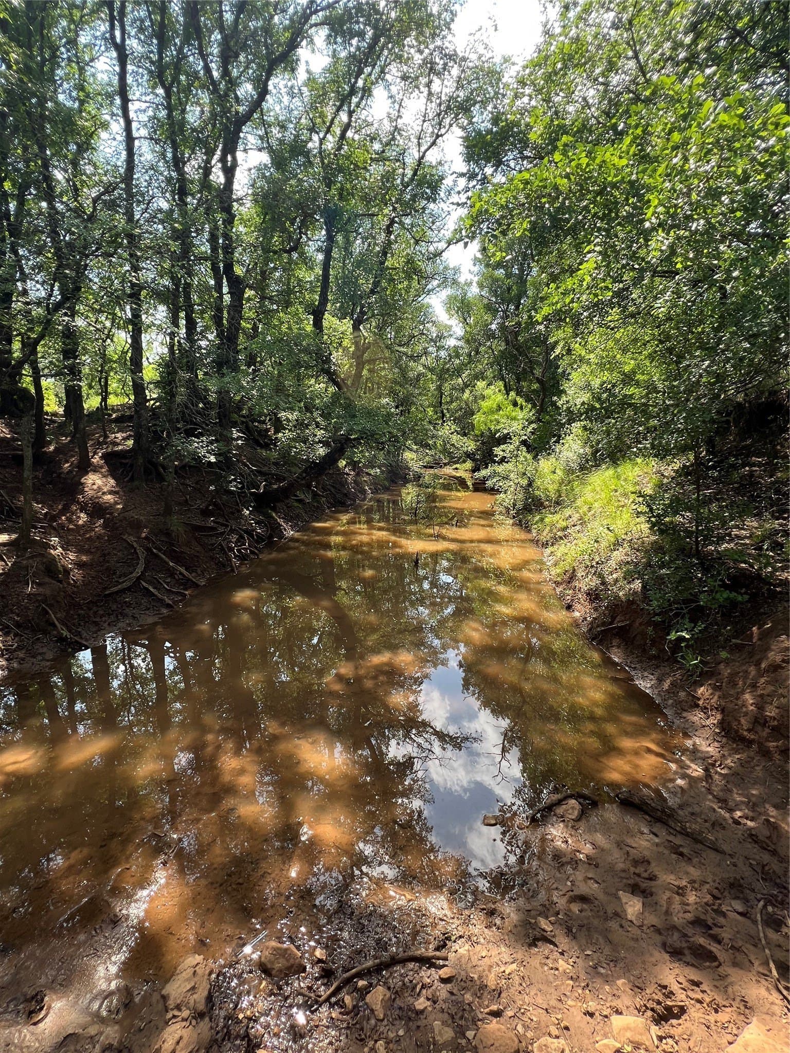 50 acres in Eastland County - photo 6