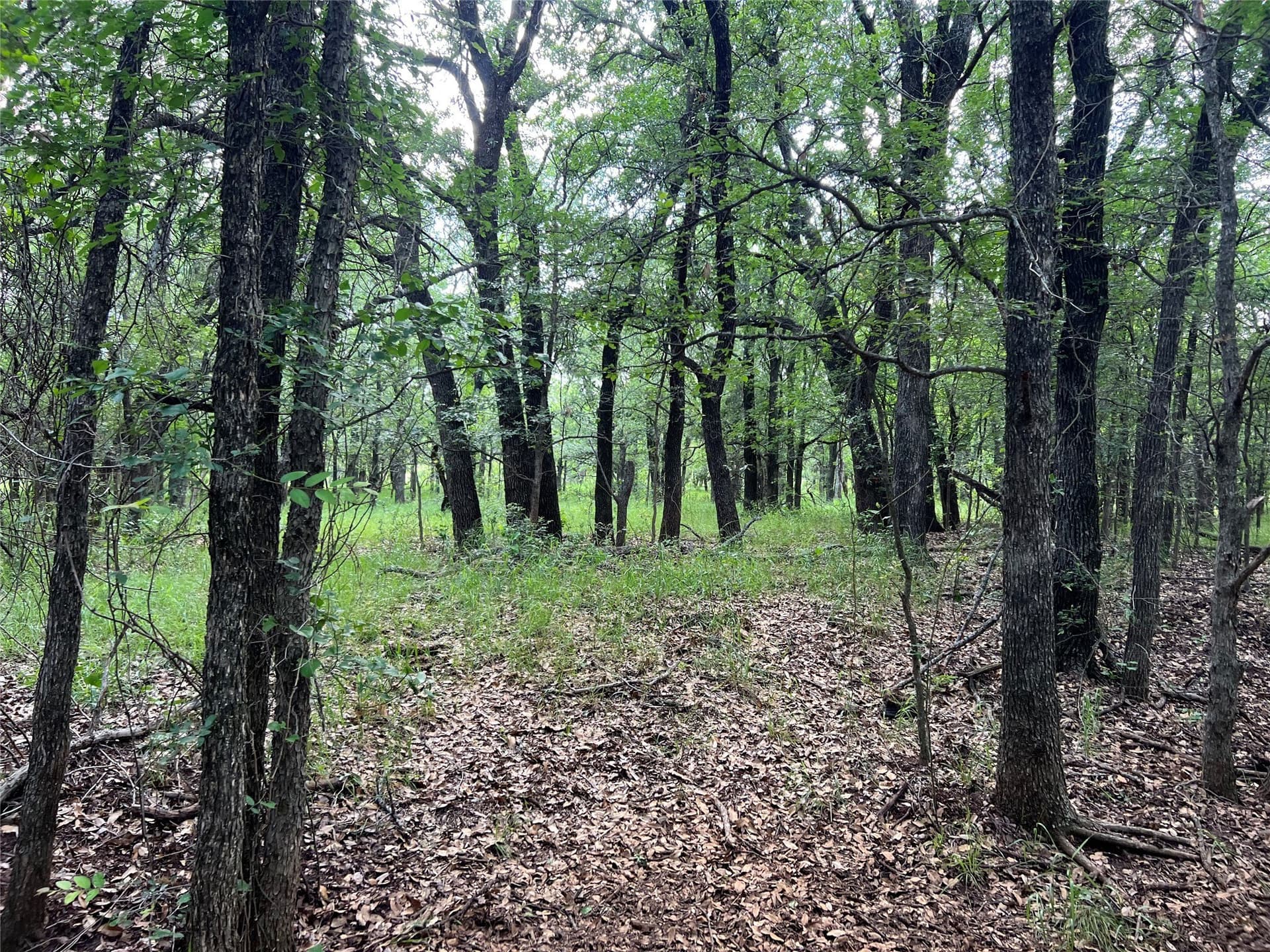 50 acres in Eastland County