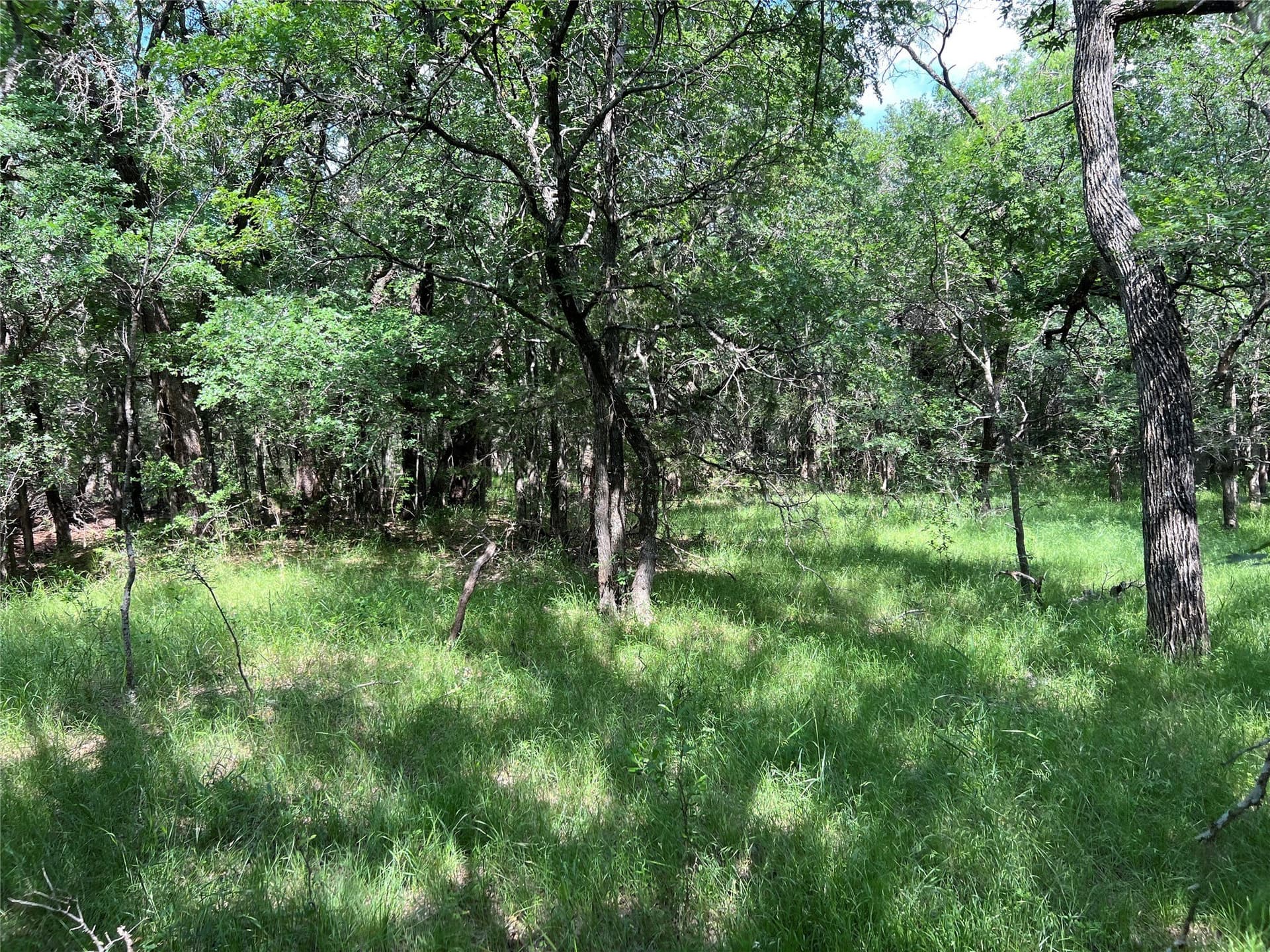 50 acres in Eastland County - photo 8