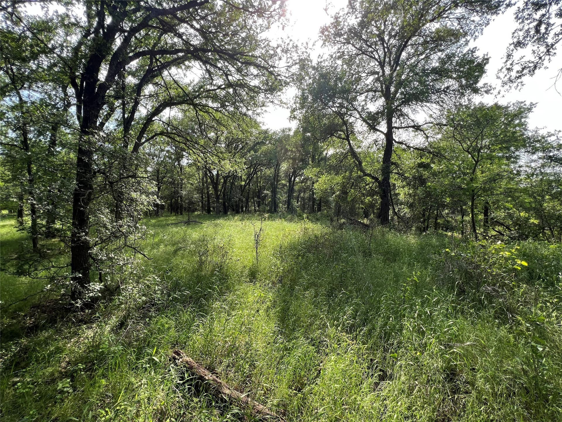 50 acres in Eastland County - photo 4