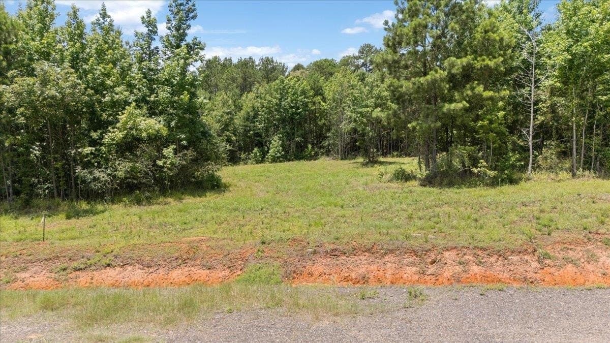 1.3 acres in Texas County - photo 10
