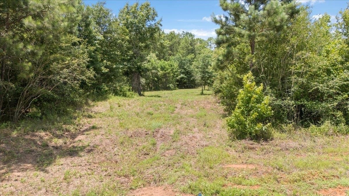 1.3 acres in Texas County - photo 9