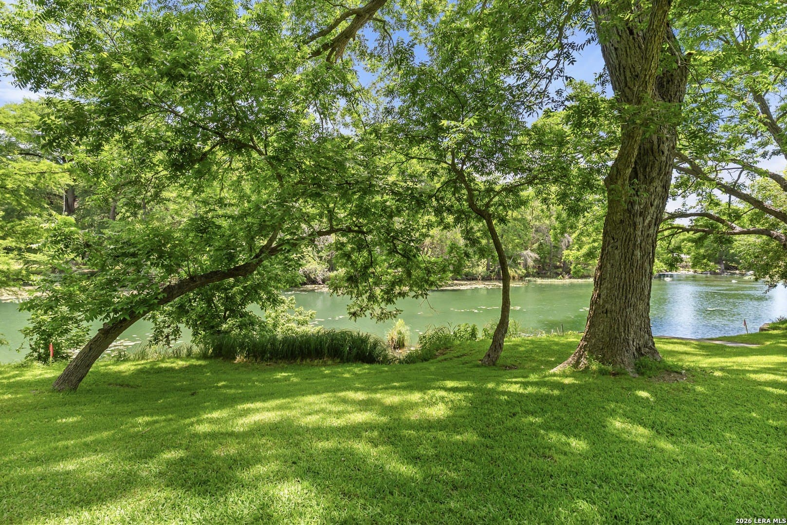 1.04 acres in Comal County gallery image 4