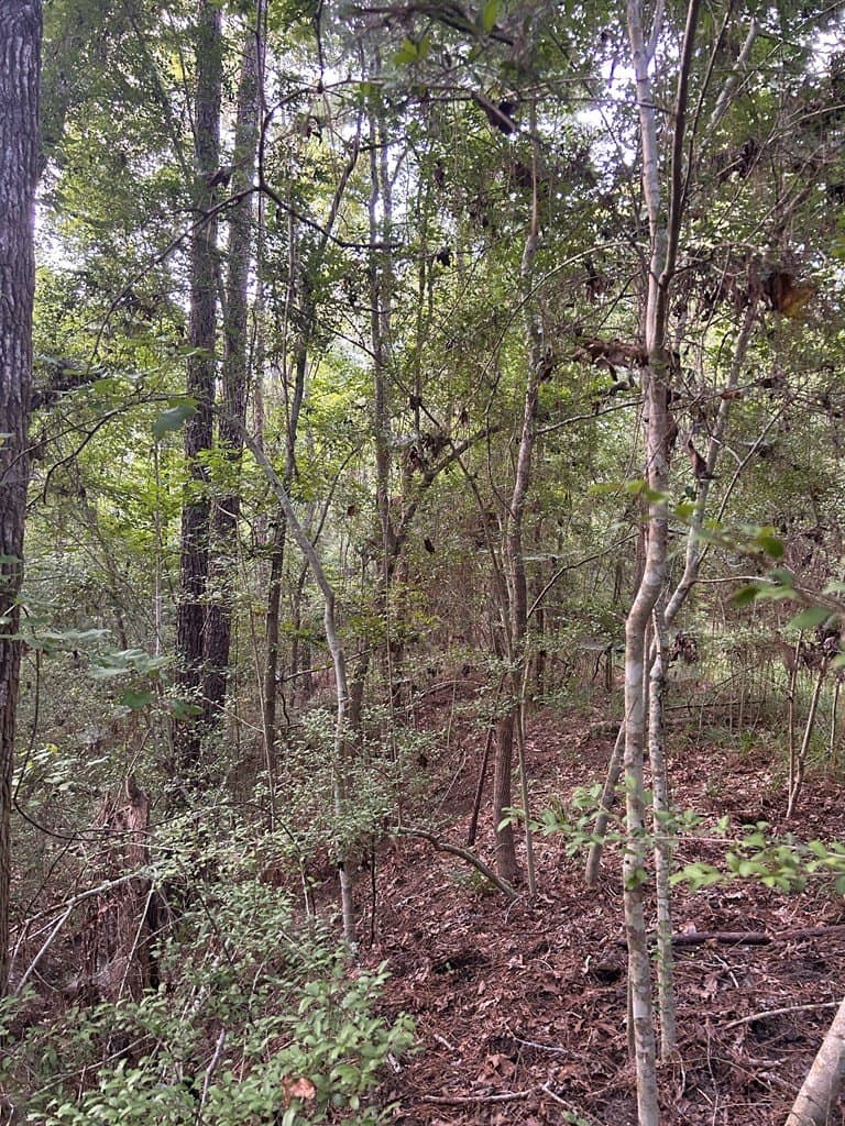 0.39 acres in Texas County gallery image 4