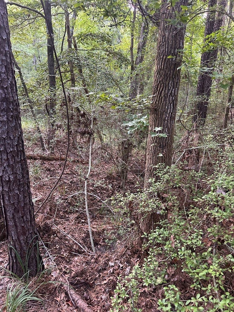 0.39 acres in Texas County featured view