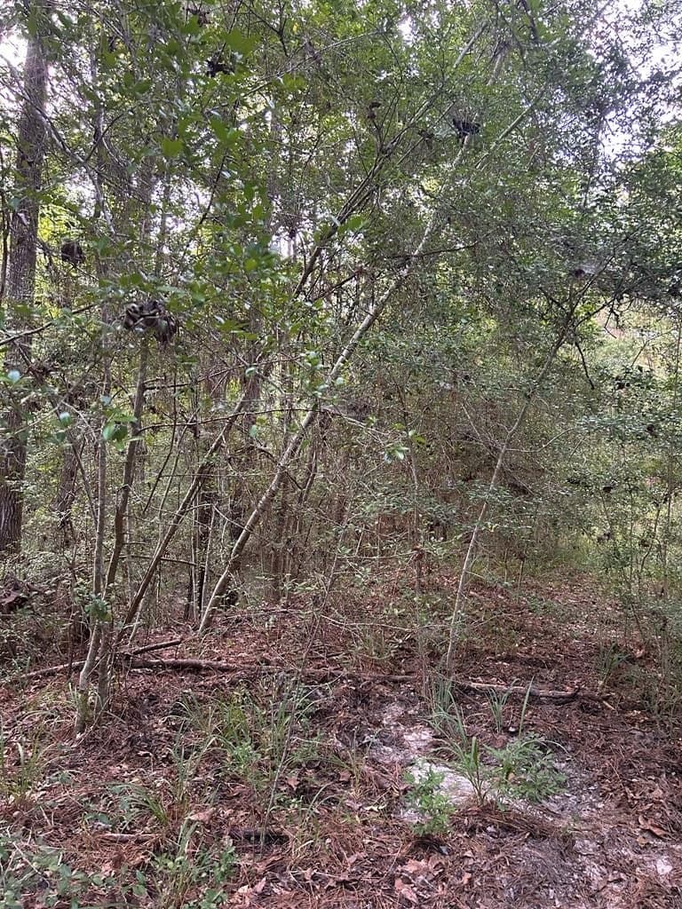 0.39 acres in Texas County