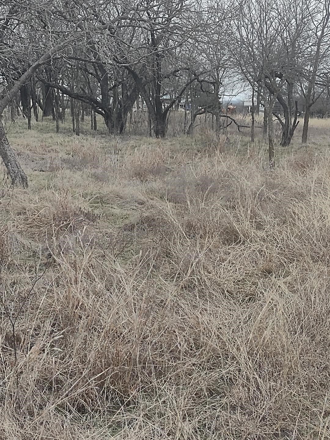 0.69 acres in Hill County - photo 2