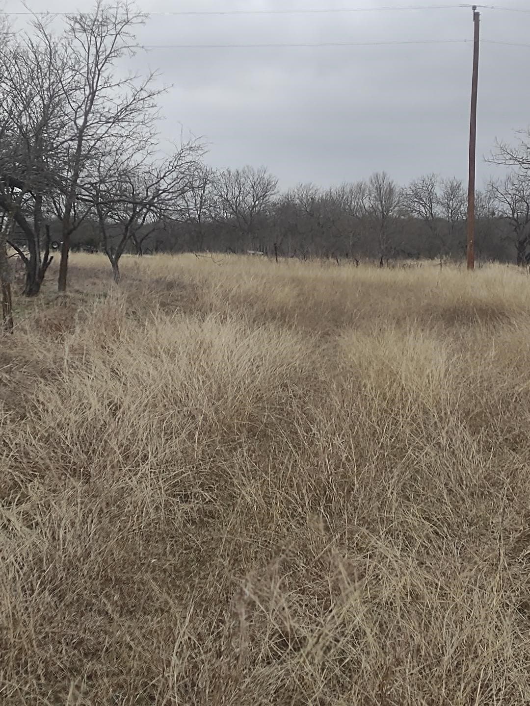 0.69 acres in Hill County - photo 4