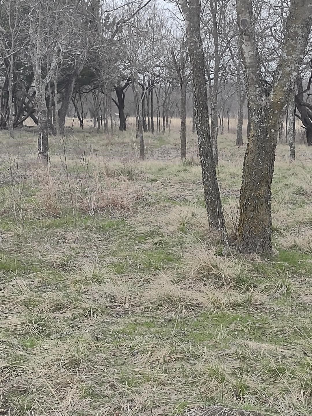 0.69 acres in Hill County - photo 3