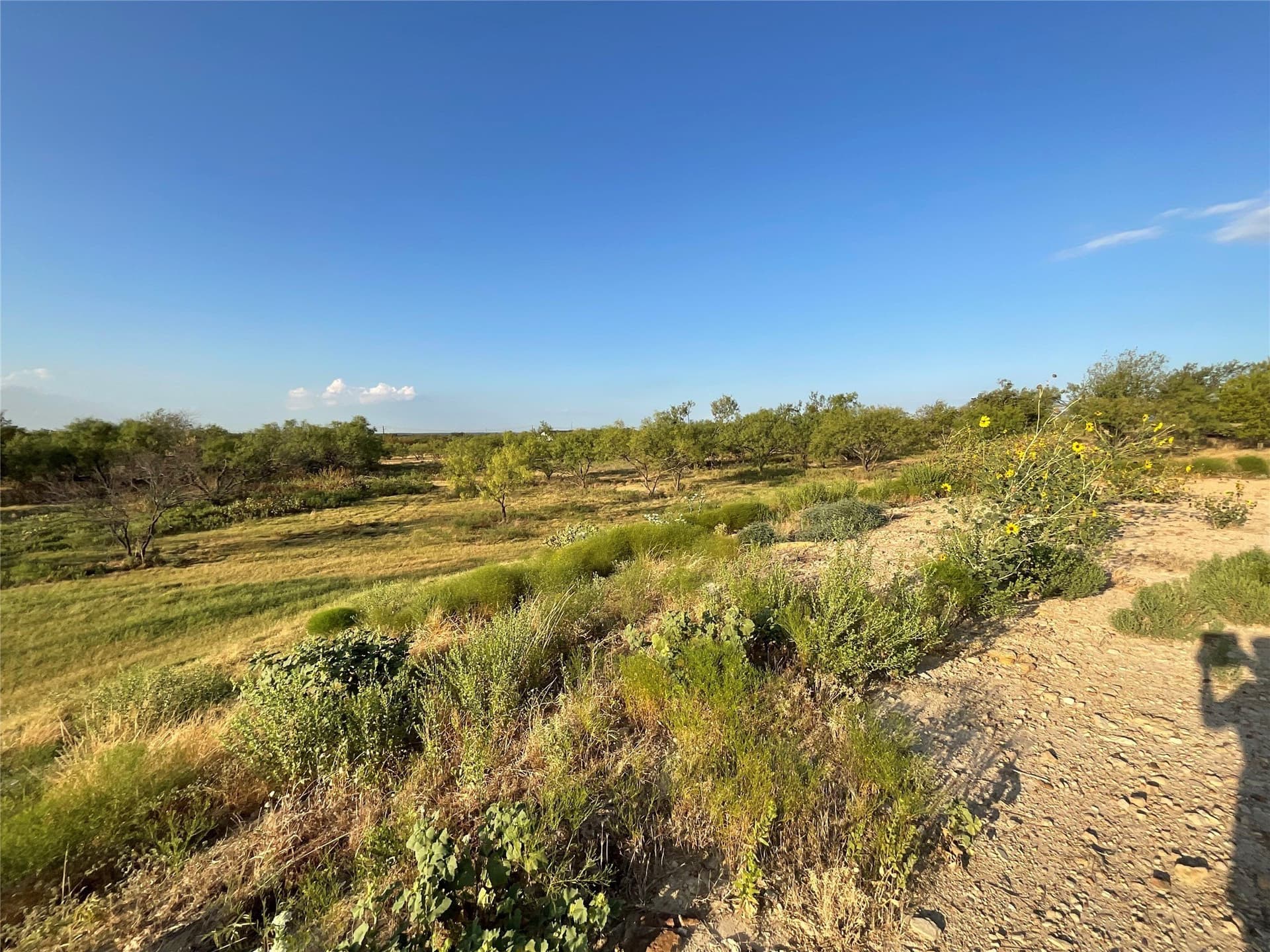 10 acres in Parker County - photo 17