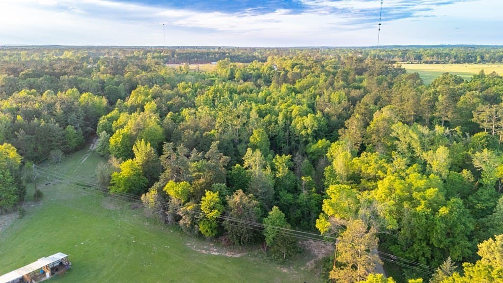 16 acres in Texas County gallery image 3