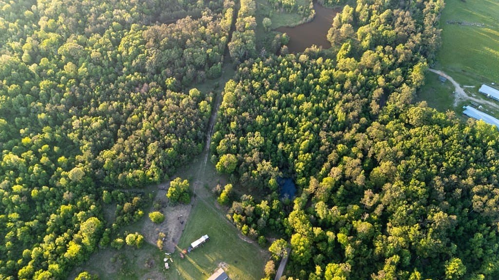 16 acres in Texas County gallery image 4