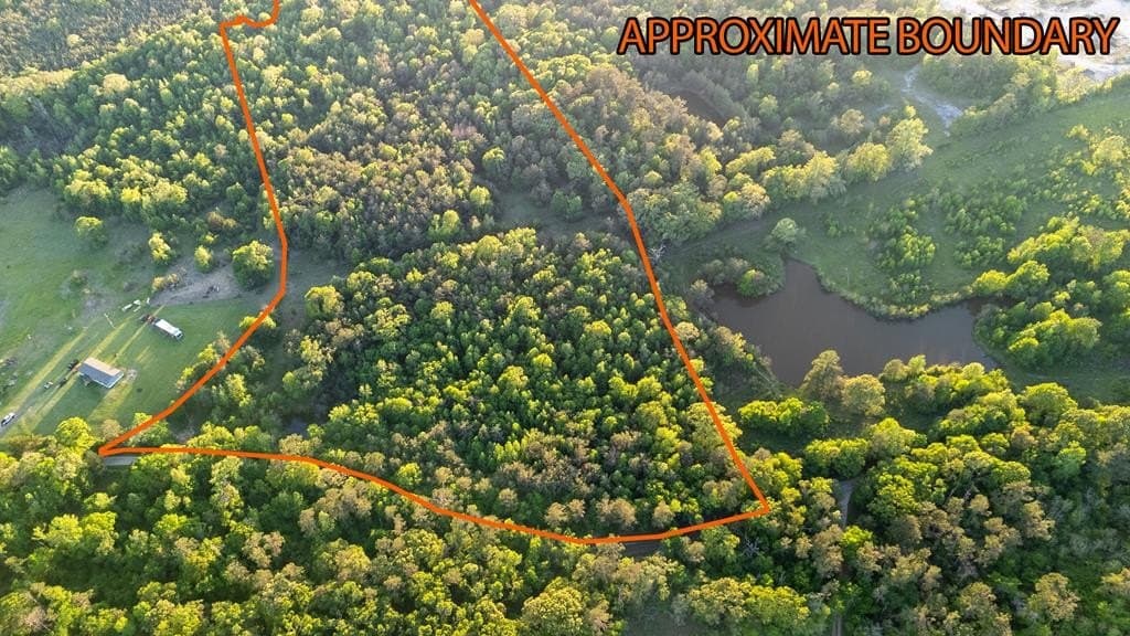 16 acres in Texas County gallery image 2