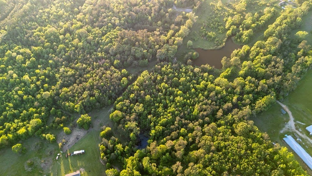 16 acres in Texas County featured view