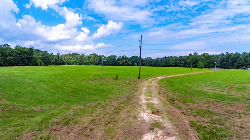 39.9 acres in Texas County gallery image 2