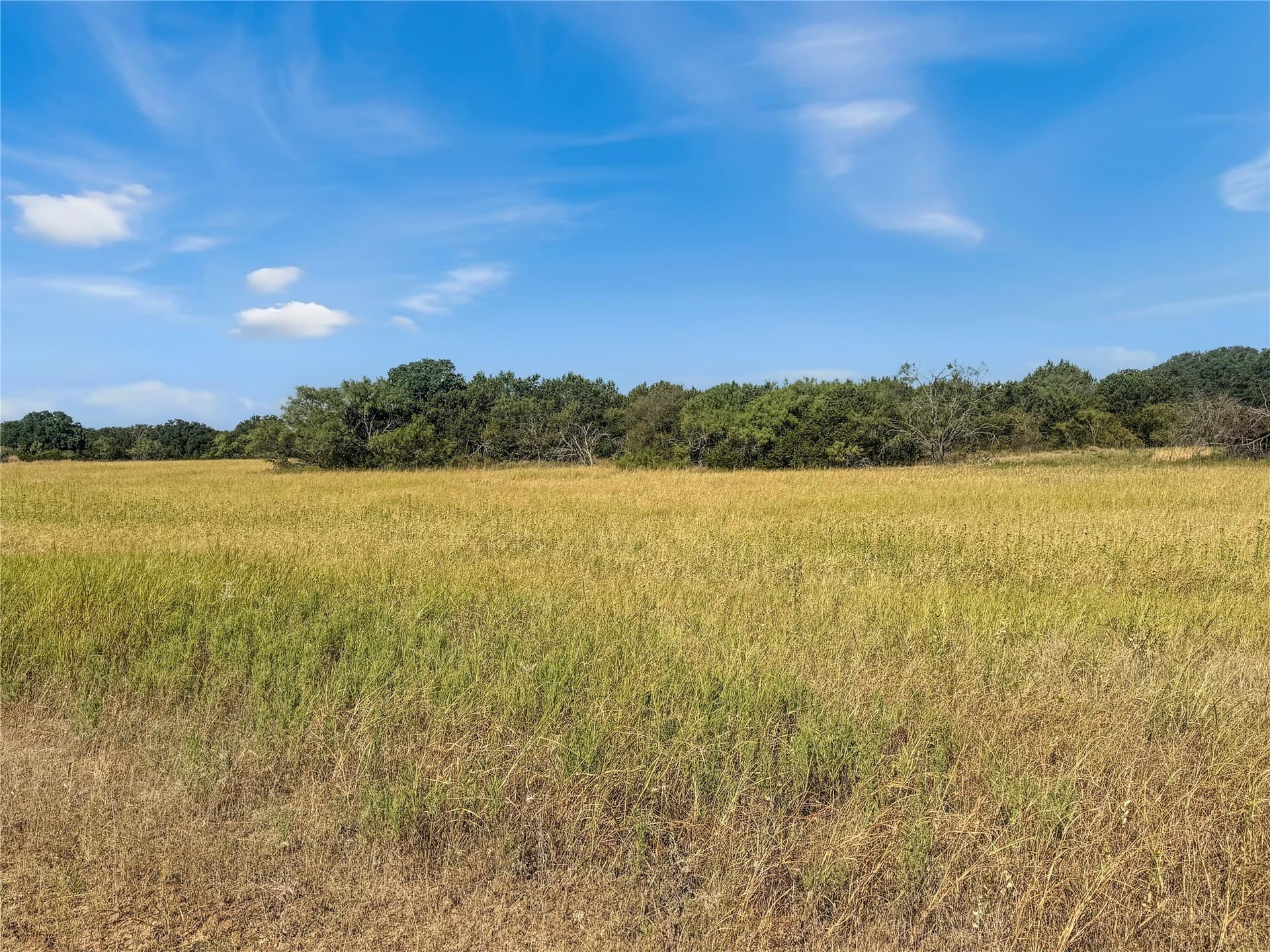 20 acres in Callahan County - photo 22
