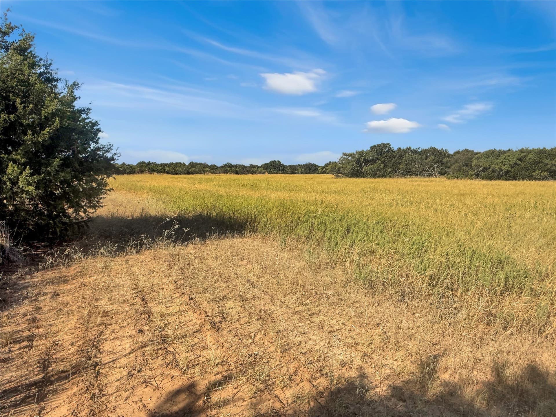 20 acres in Callahan County - photo 21