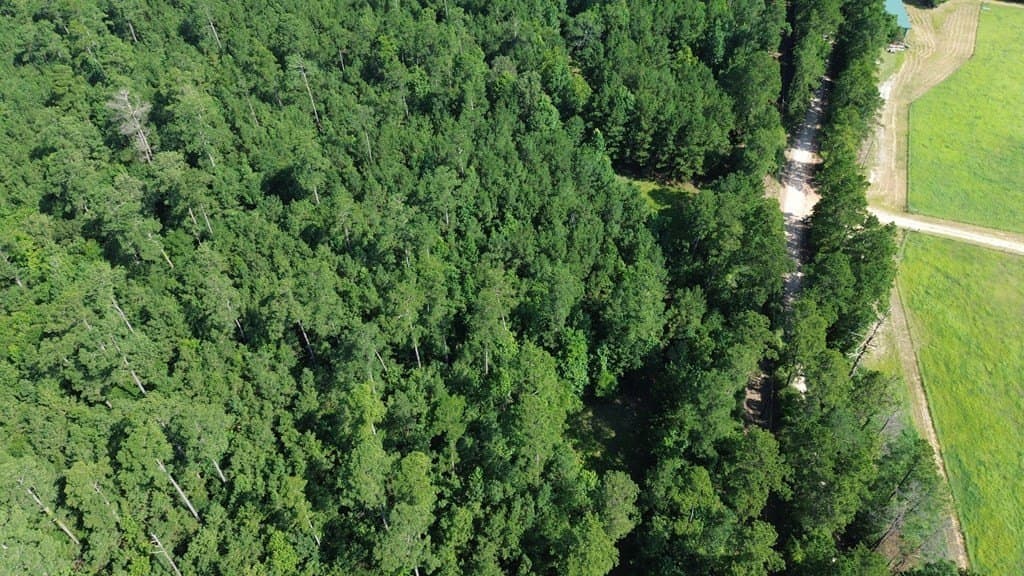 46.25 acres in Texas County gallery image 3