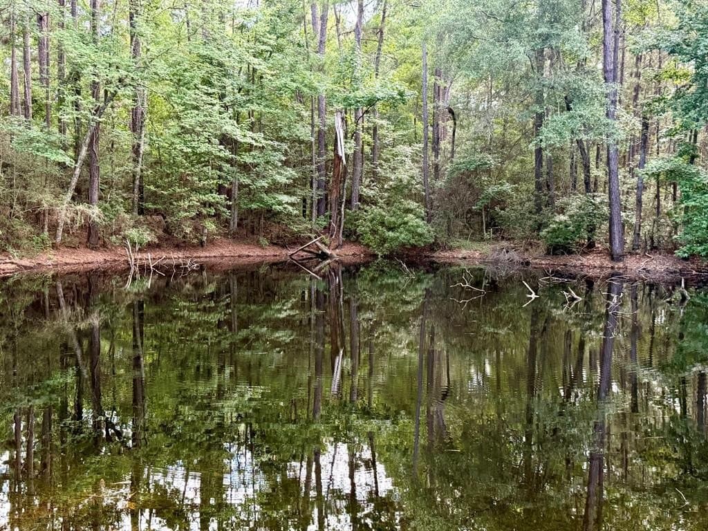 46.25 acres in Texas County gallery image 2