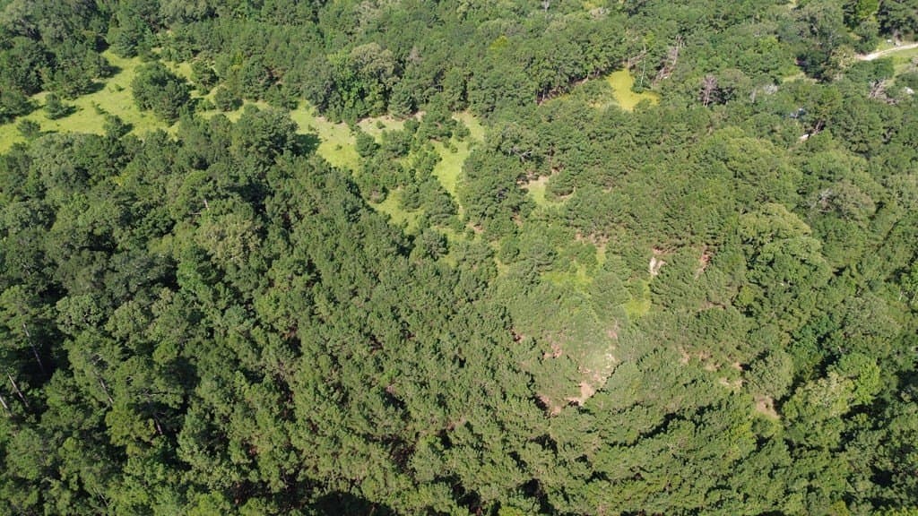46.25 acres in Texas County - photo 18