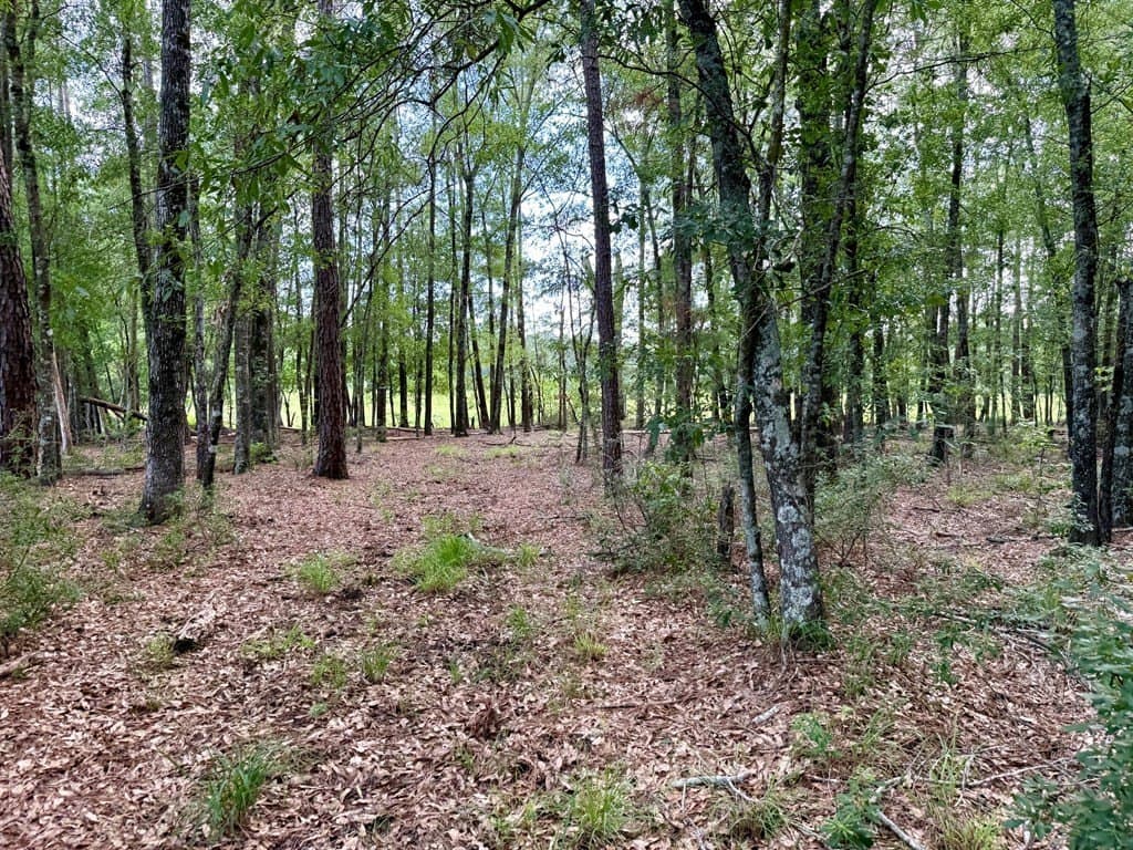 46.25 acres in Texas County gallery image 4
