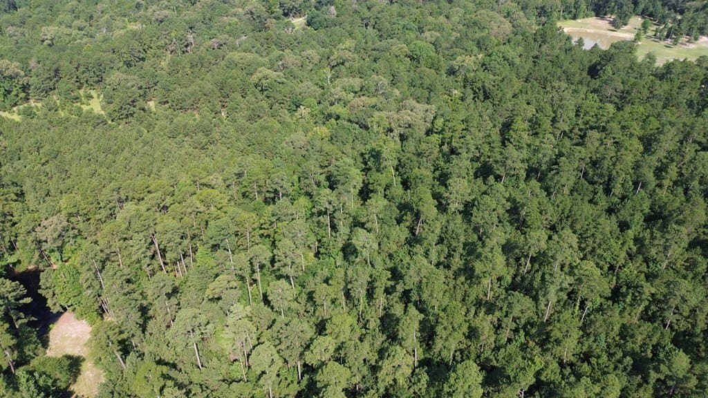 46.25 acres in Texas County - photo 17