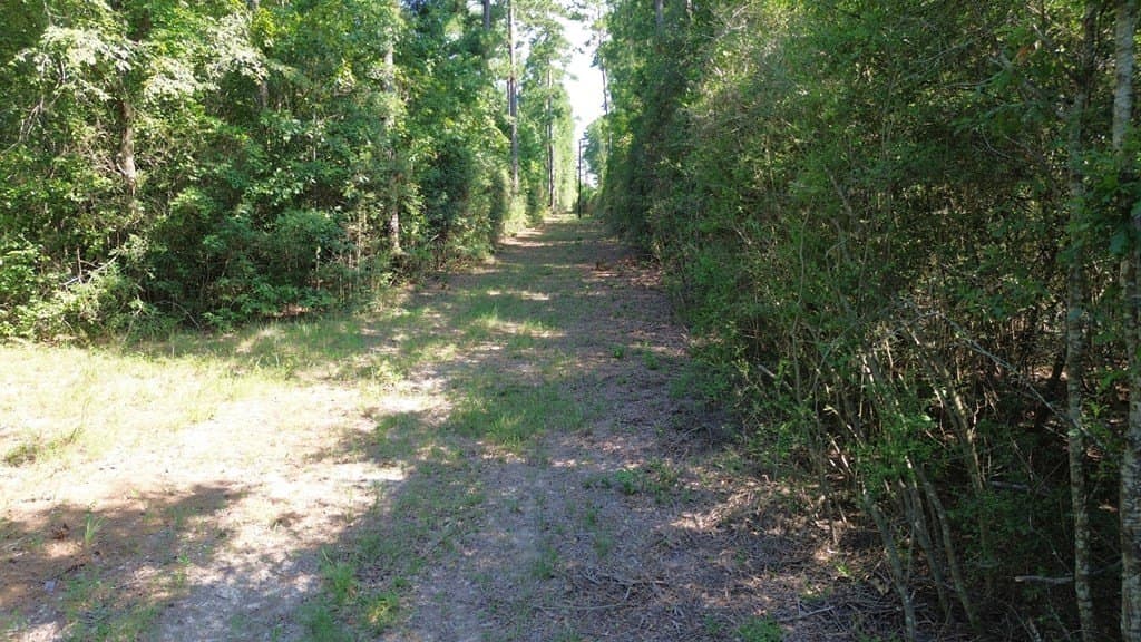 46.25 acres in Texas County - photo 6