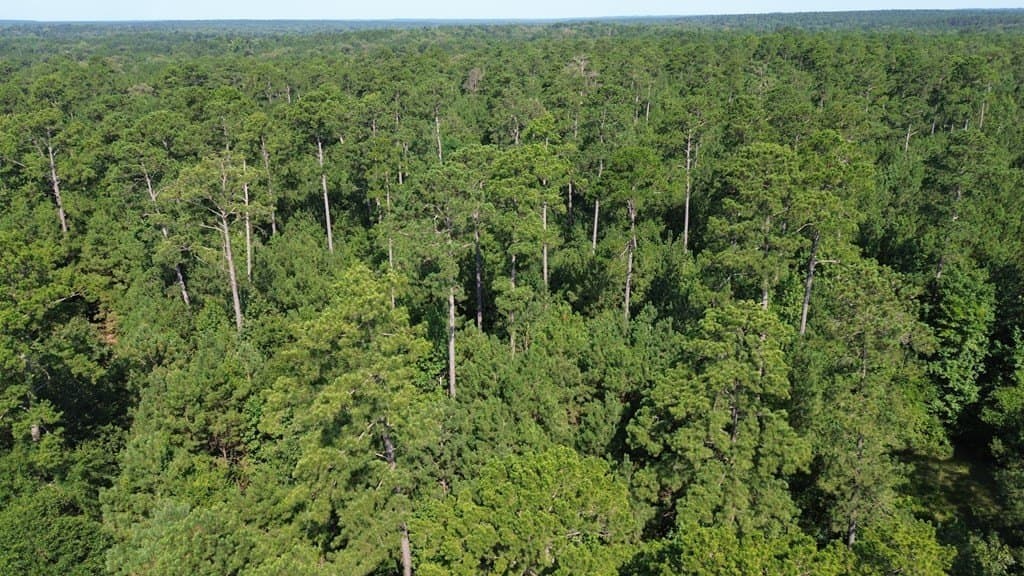 46.25 acres in Texas County - photo 23