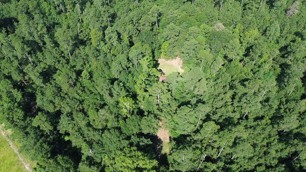 46.25 acres in Texas County - photo 22
