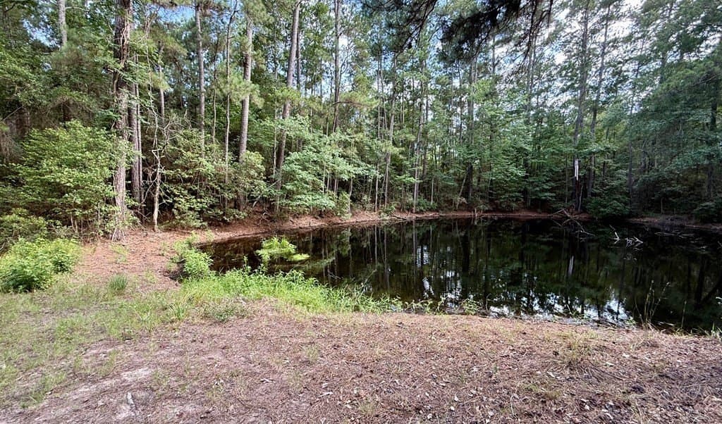 46.25 acres in Texas County - photo 7