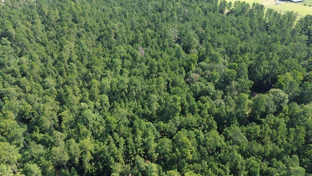 46.25 acres in Texas County - photo 21