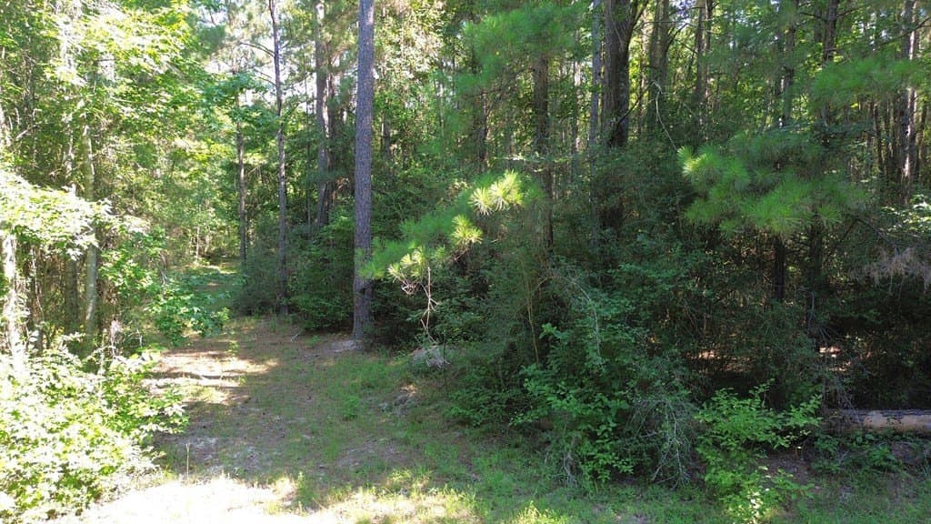 46.25 acres in Texas County - photo 12