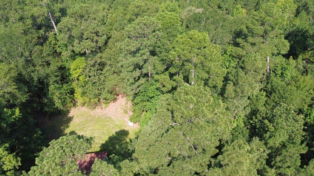 46.25 acres in Texas County - photo 16