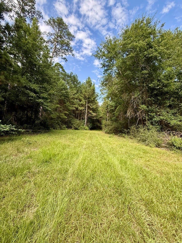 46.25 acres in Texas County - photo 25
