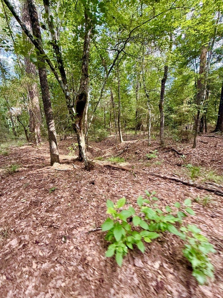 46.25 acres in Texas County - photo 27