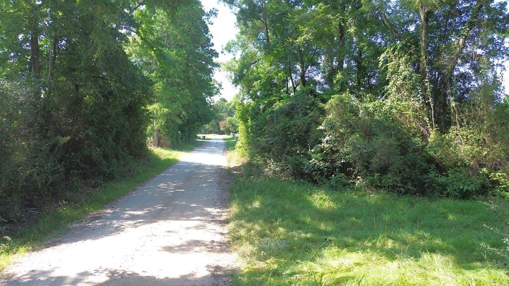46.25 acres in Texas County featured view