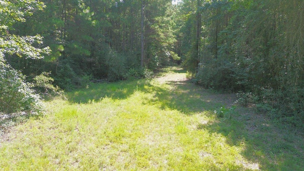 46.25 acres in Texas County - photo 24