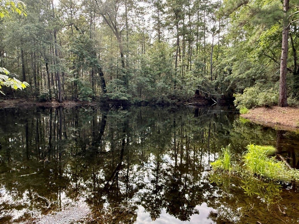 46.25 acres in Texas County - photo 9