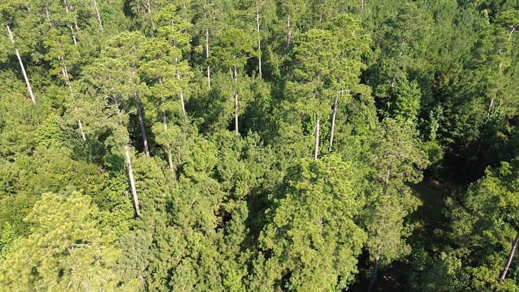 46.25 acres in Texas County - photo 15