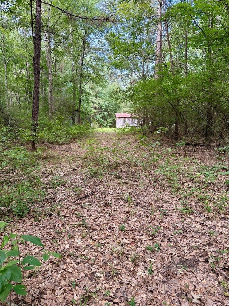 46.25 acres in Texas County - photo 26