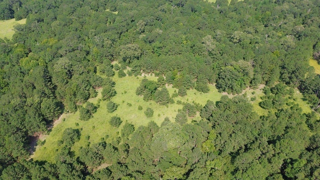 46.25 acres in Texas County - photo 19