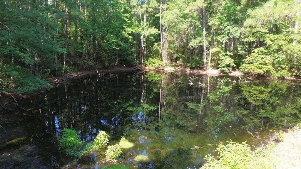 46.25 acres in Texas County - photo 8