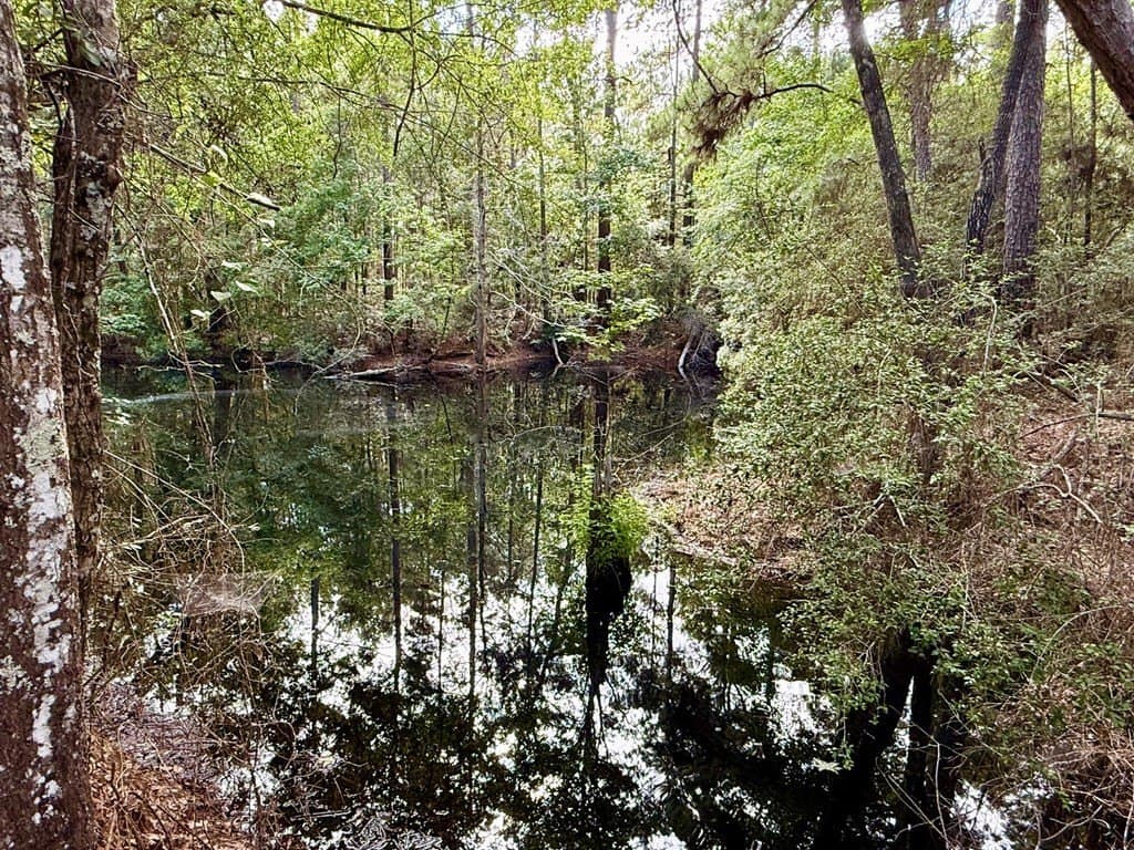 46.25 acres in Texas County - photo 10