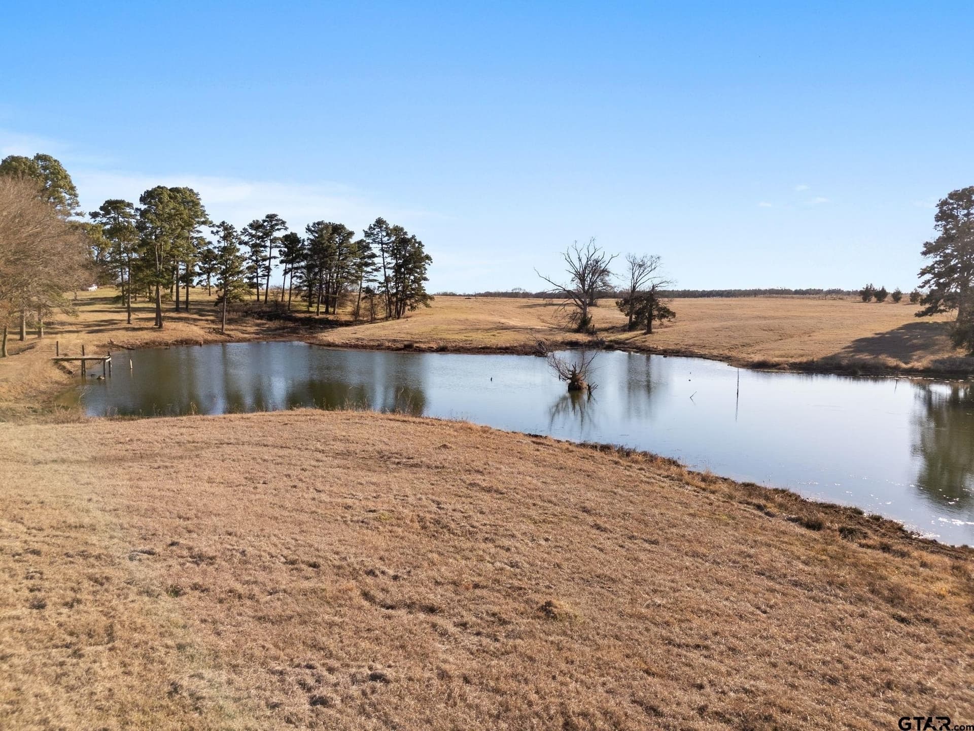 40 acres in Titus County - photo 38